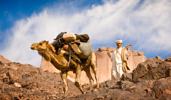 Escursione nel deserto e una notte in un tradizionale campo tendato berbero
Marocco