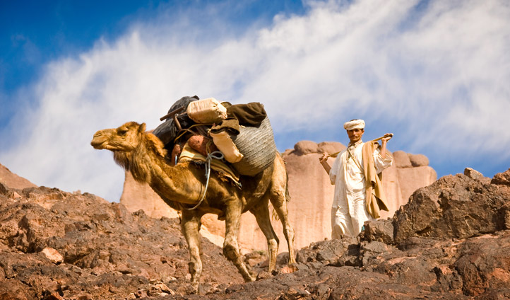 Escursione nel deserto e una notte in un tradizionale campo tendato berbero
Marocco