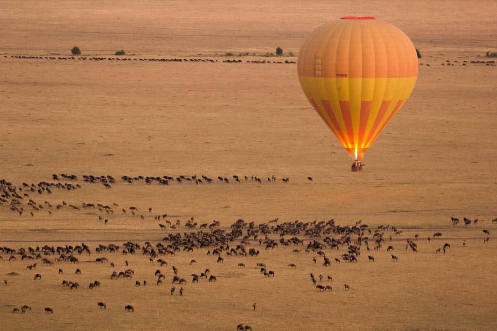 L'emozione dell'Africa dal Cielo con un volo in mongolfiera
Tanzania