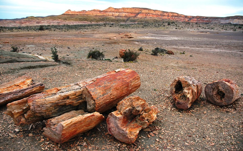 Tour Patagonia Offroad Ruta 40 - Viaggio in Argentina, Cile, Patagonia Argentina, Patagonia Cilena