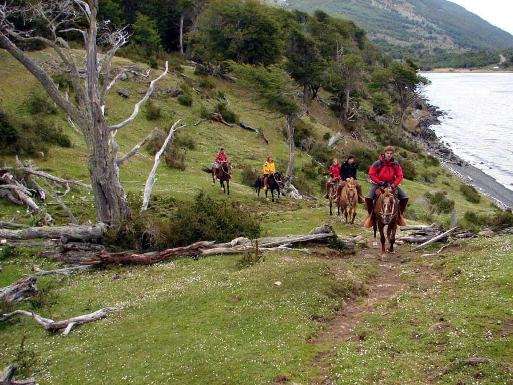 Isola Navarino & Cabo de Hornos, Patagonia, Cile