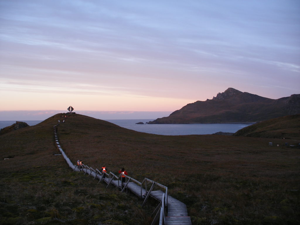 Isola Navarino & Cabo de Hornos, Patagonia, Cile